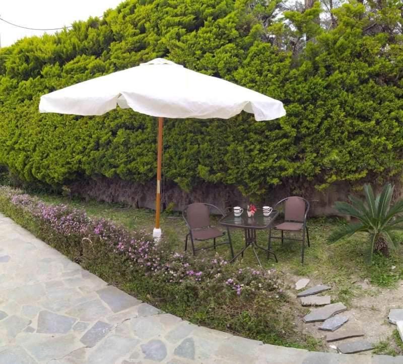 Villa Katerina Ialysos  Exteriér fotografie