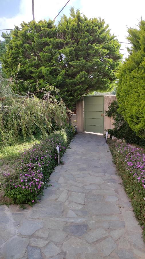 Villa Katerina Ialysos  Exteriér fotografie